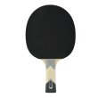 Raketa na stolný tenis DONIC Waldner 600