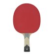 Raketa na stolný tenis DONIC Waldner 600