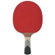 Raketa na stolný tenis DONIC Waldner 800