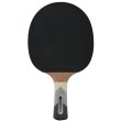 Raketa na stolný tenis DONIC Waldner 800