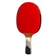 Raketa na stolný tenis DONIC Waldner 800