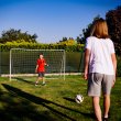 Futbalová bránka MASTER 300 x 205 x 120 cm