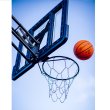 Basketbalový kôš MASTER Acryl Board 305