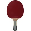 Raketa na stolný tenis DONIC Waldner 1000