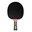 Raketa na stolný tenis DONIC Top Team 900