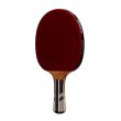 Raketa na stolný tenis DONIC Waldner 5000