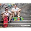Skateboard SCHILDKROT Kicker 31
