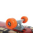Skateboard SCHILDKROT Kicker 31