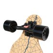 Longboard MASTER 41