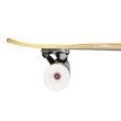 Longboard MASTER 42