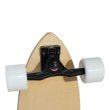 Longboard MASTER Pintail 41