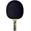 Raketa na stolný tenis DONIC Legends 400 FSC