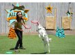 Frisbee - lietajúci tanier AEROBIE Superdisc