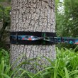 Slackline SLACKERS - Deluxe Tree Protector Kit