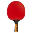 Raketa na stolný tenis JOOLA Carbon Control