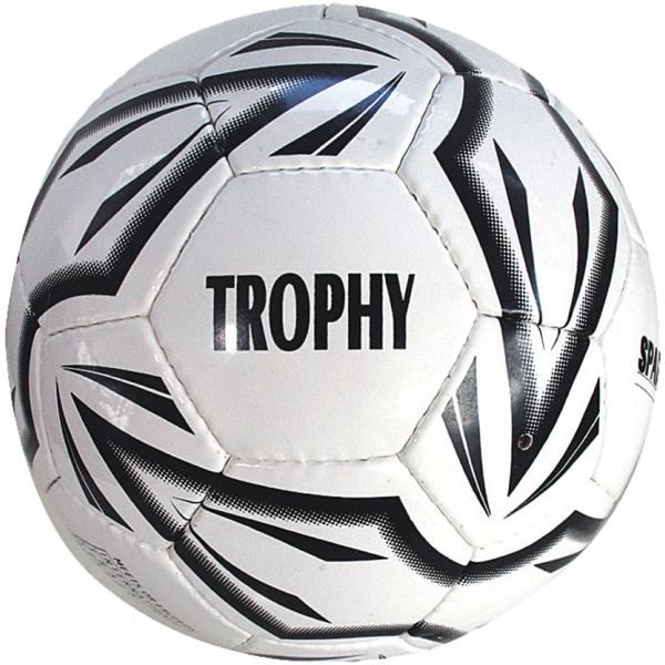 E-shop Futbalová lopta SPARTAN Trophy 5