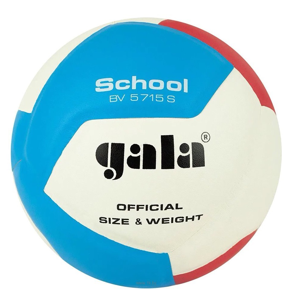 Volejbalová lopta GALA School BV5715S