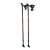 Trekingov palice SPARTAN Nordic Walking