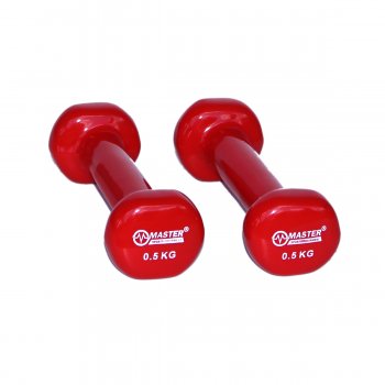 Vinylov inky MASTER 2 x 0,5 kg
