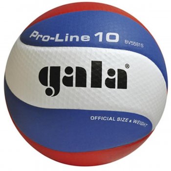 Volejbalová lopta GALA Pro Line BV 5581S
