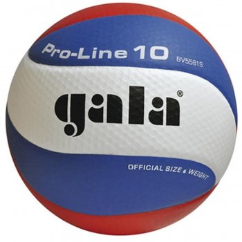 Volejbalov lopta GALA Pro Line BV 5581S