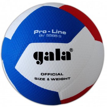 Volejbalová lopta GALA Pro Line BV5585S