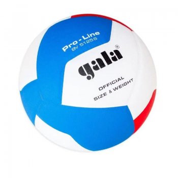 Volejbalová lopta GALA Pro Line BV5125S