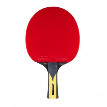 Raketa na stoln tenis JOOLA Carbon Pro