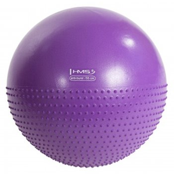 Gymnastick masna lopta HMS YB03 55 cm